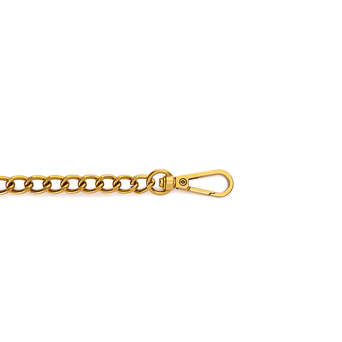 FRANCINE - Chain Crossbody Bag