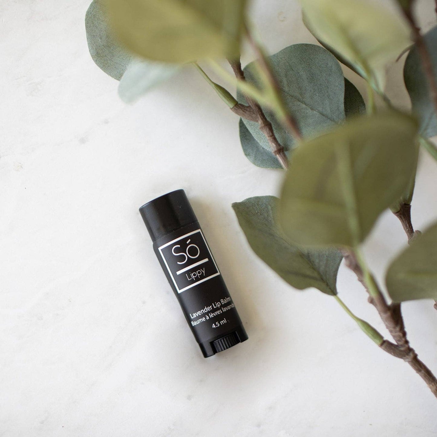 Lippy: Vanilla Mint (Essential Oil)
